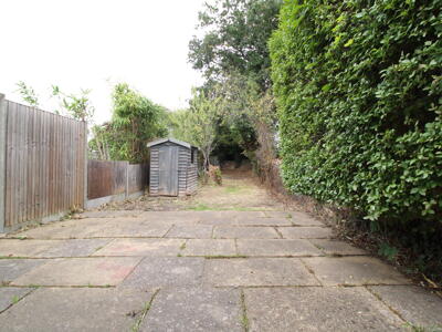 Picture 11